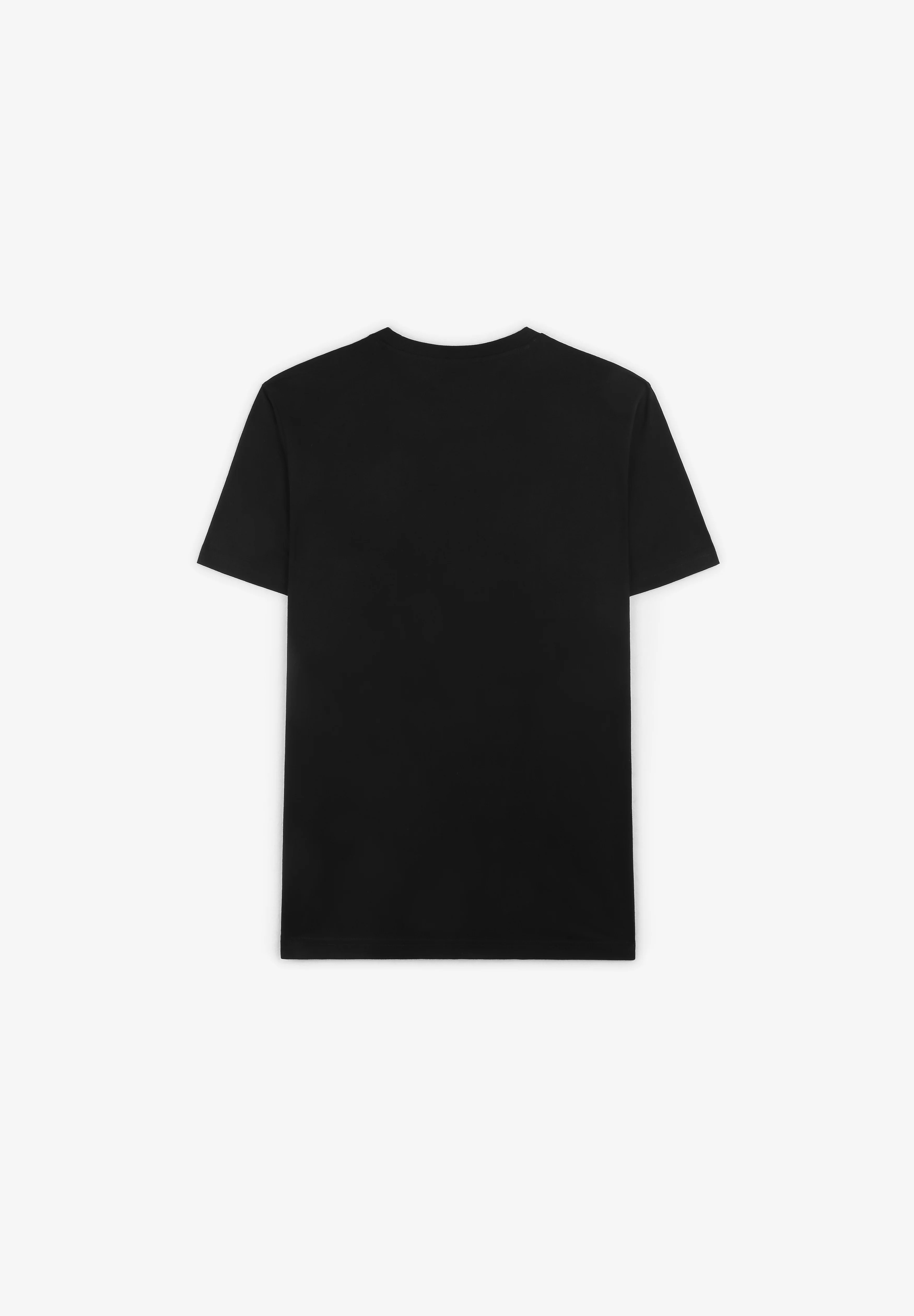 DICKIES | CAMISETA MAPLETON - Image 5