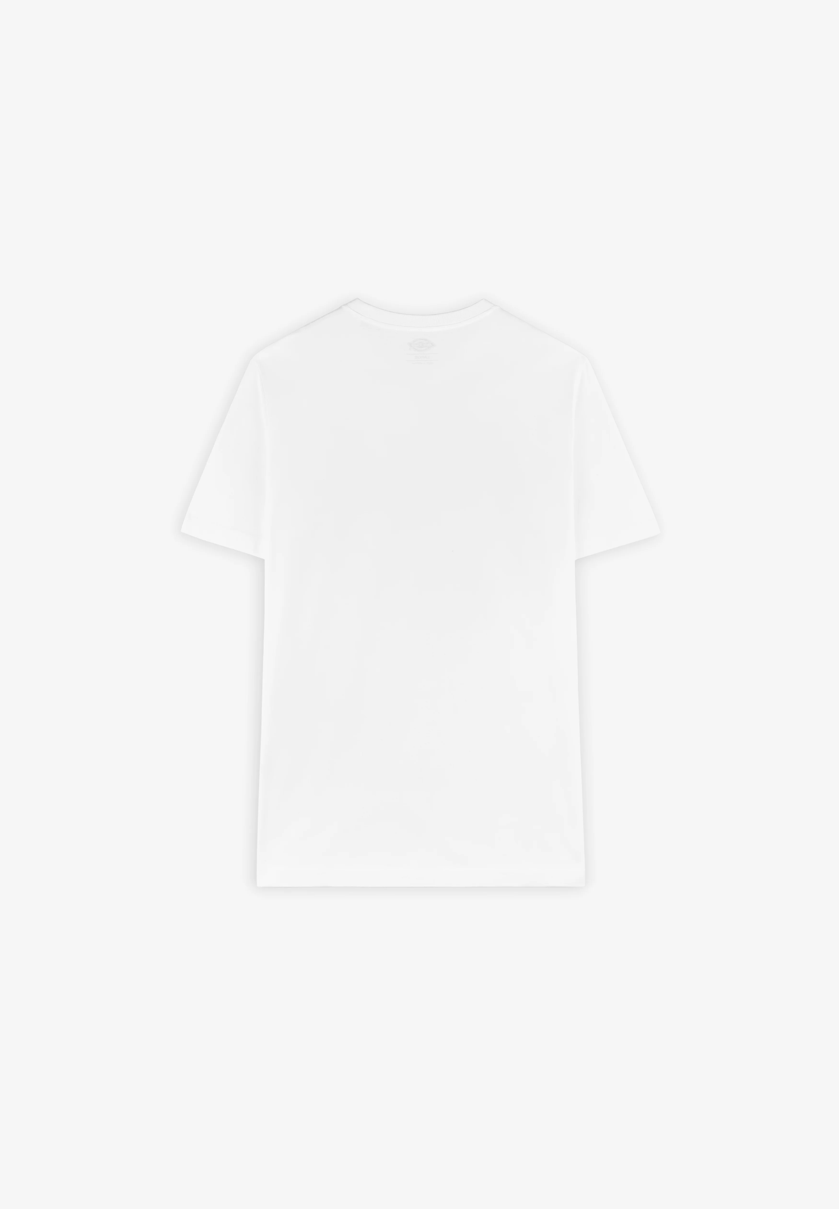 DICKIES | CAMISETA MAPLETON - Image 2