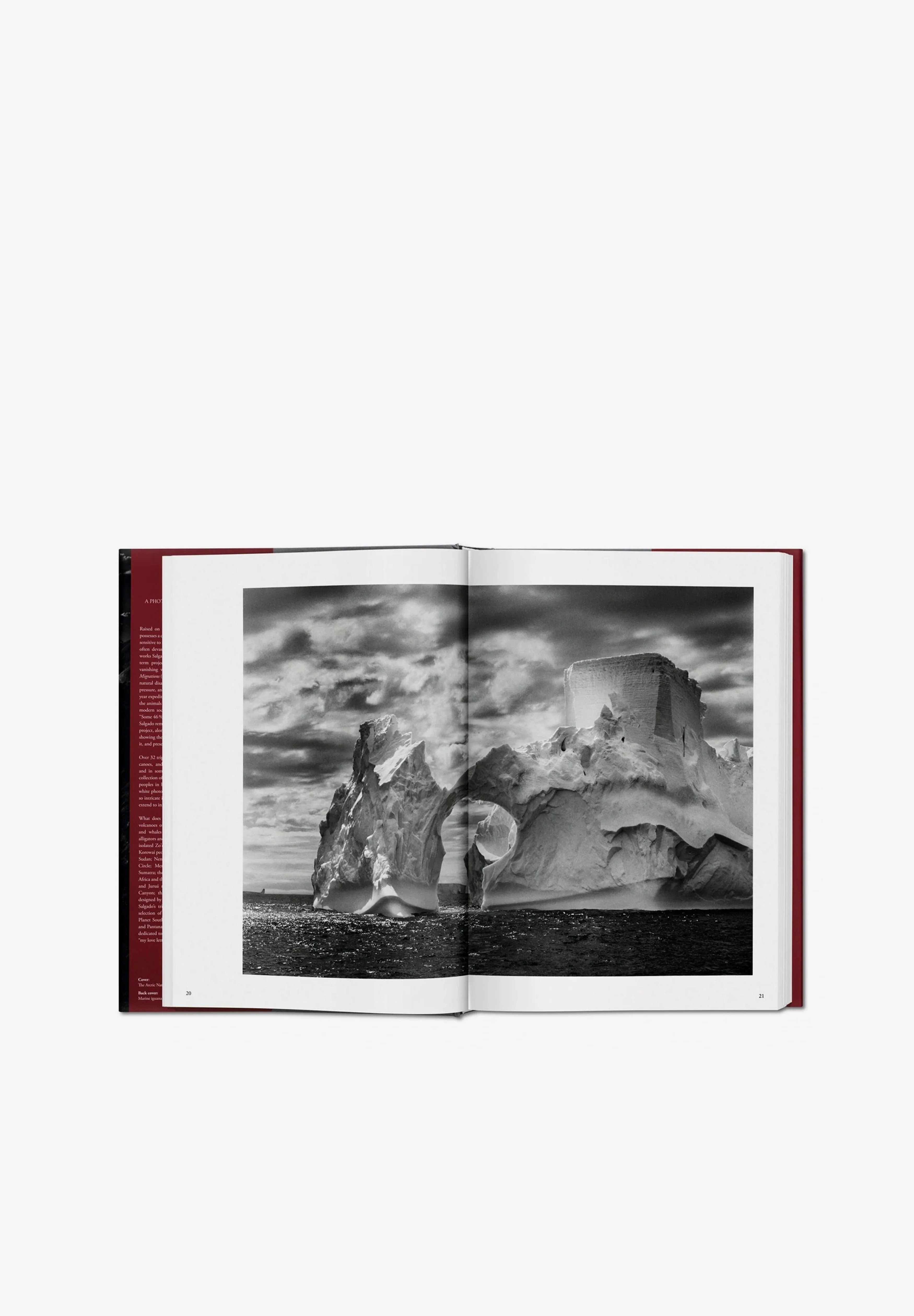TASCHEN | LIBRO GENESIS SALGADO - Image 3