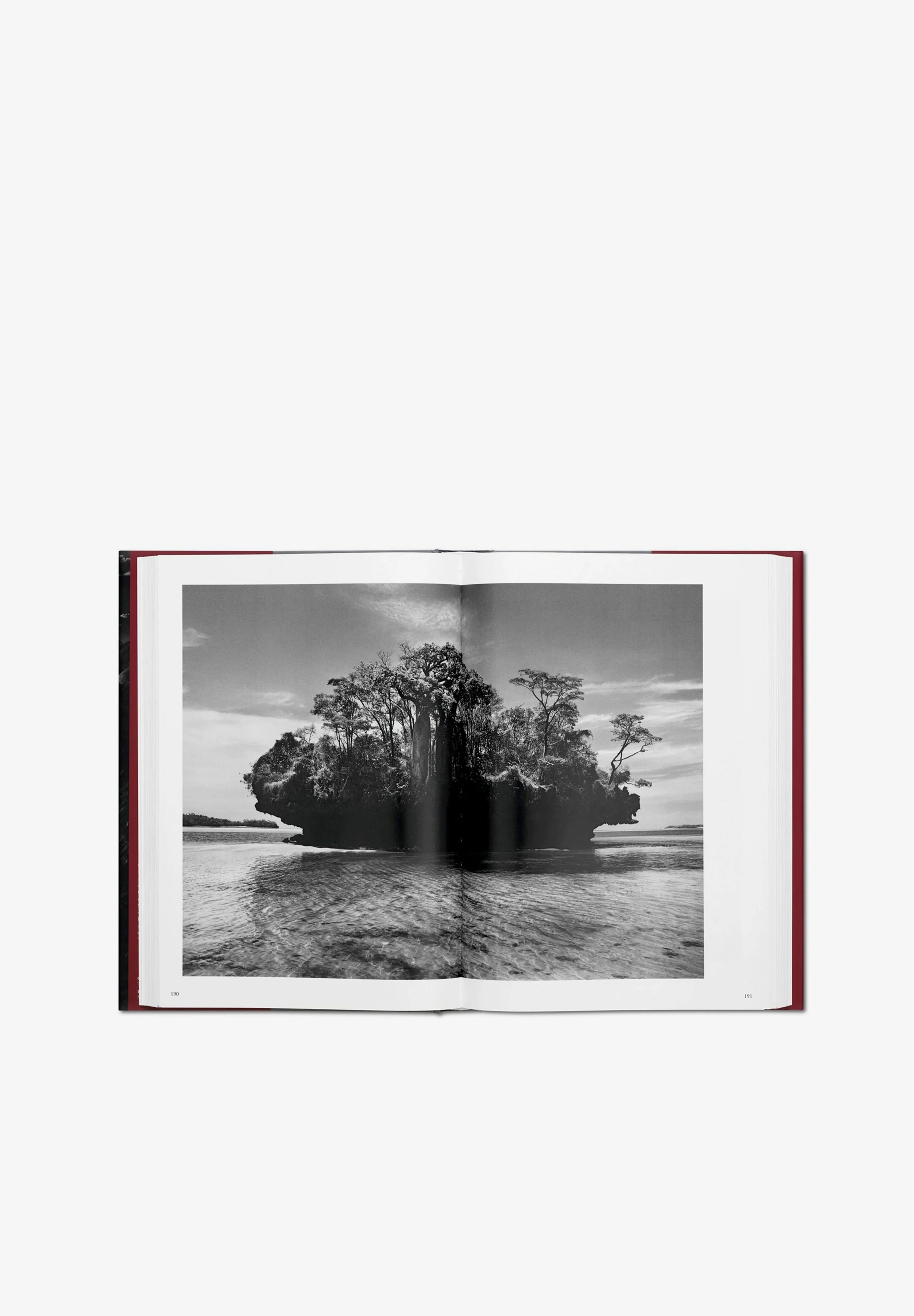 TASCHEN | LIBRO GENESIS SALGADO - Image 4