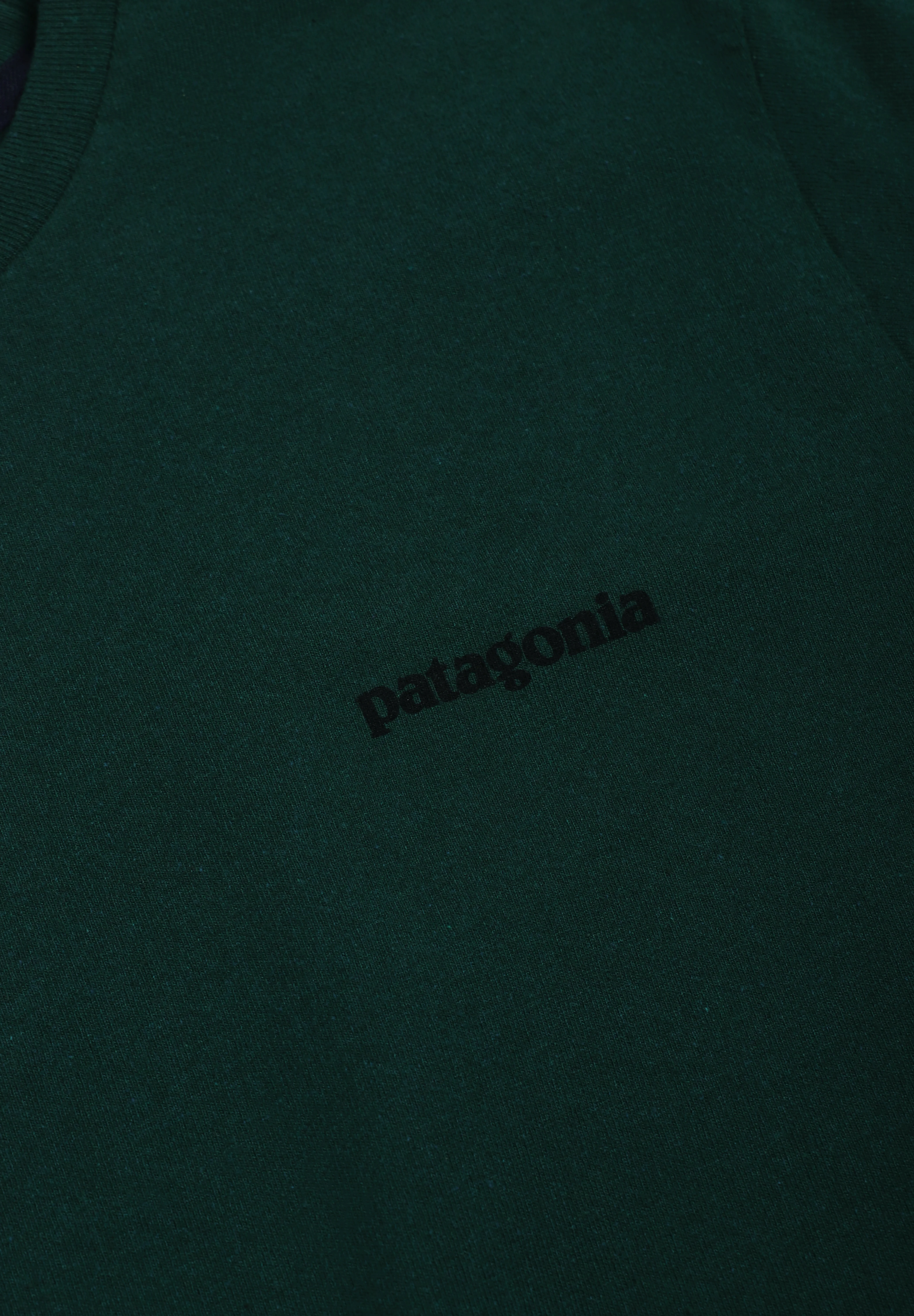PATAGONIA | CAMISETA P-6 LOGO RESPONSIBILI HOMBRE - Image 3
