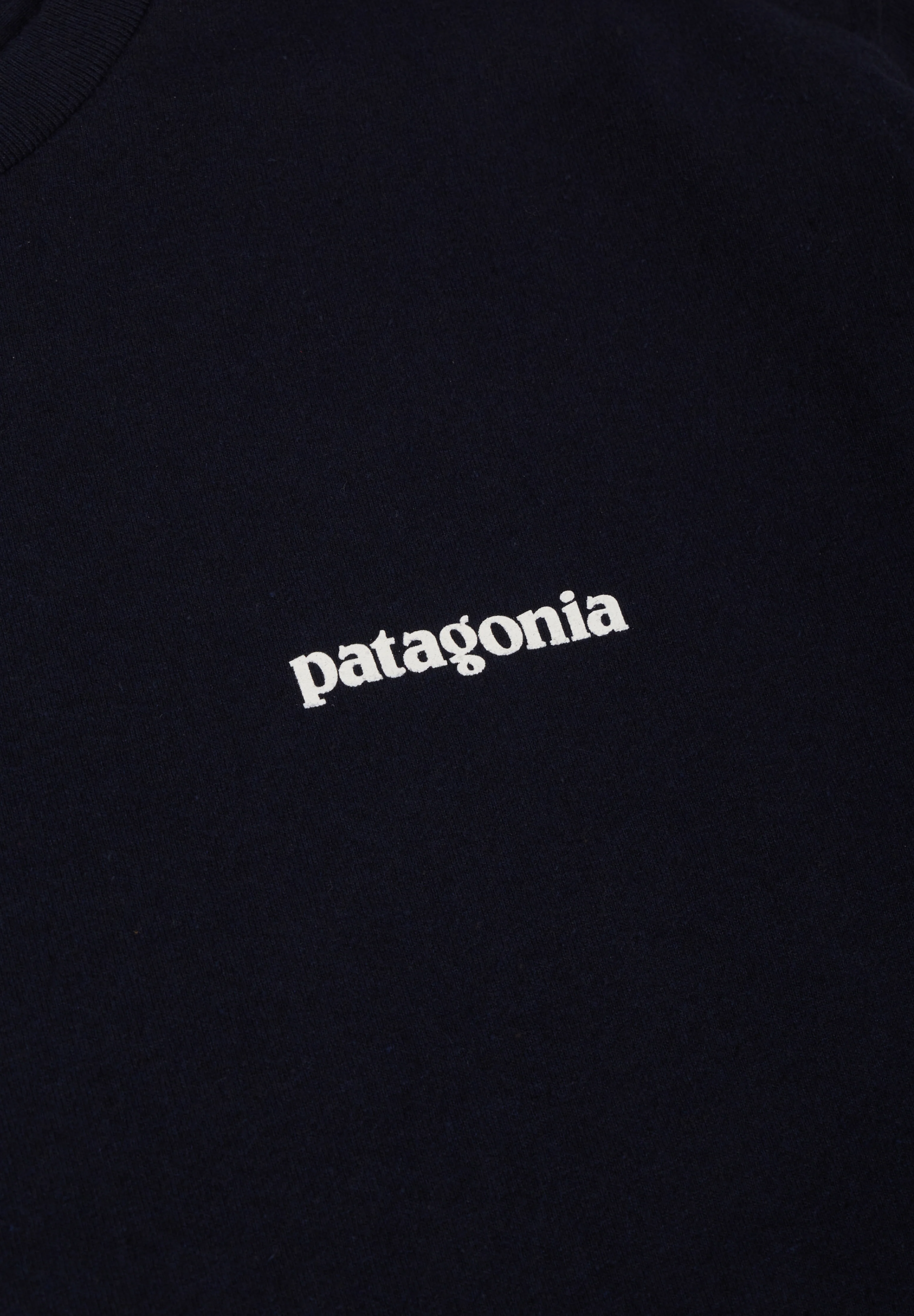 PATAGONIA | CAMISETA P-6 LOGO RESPONSIBILI HOMBRE - Image 3