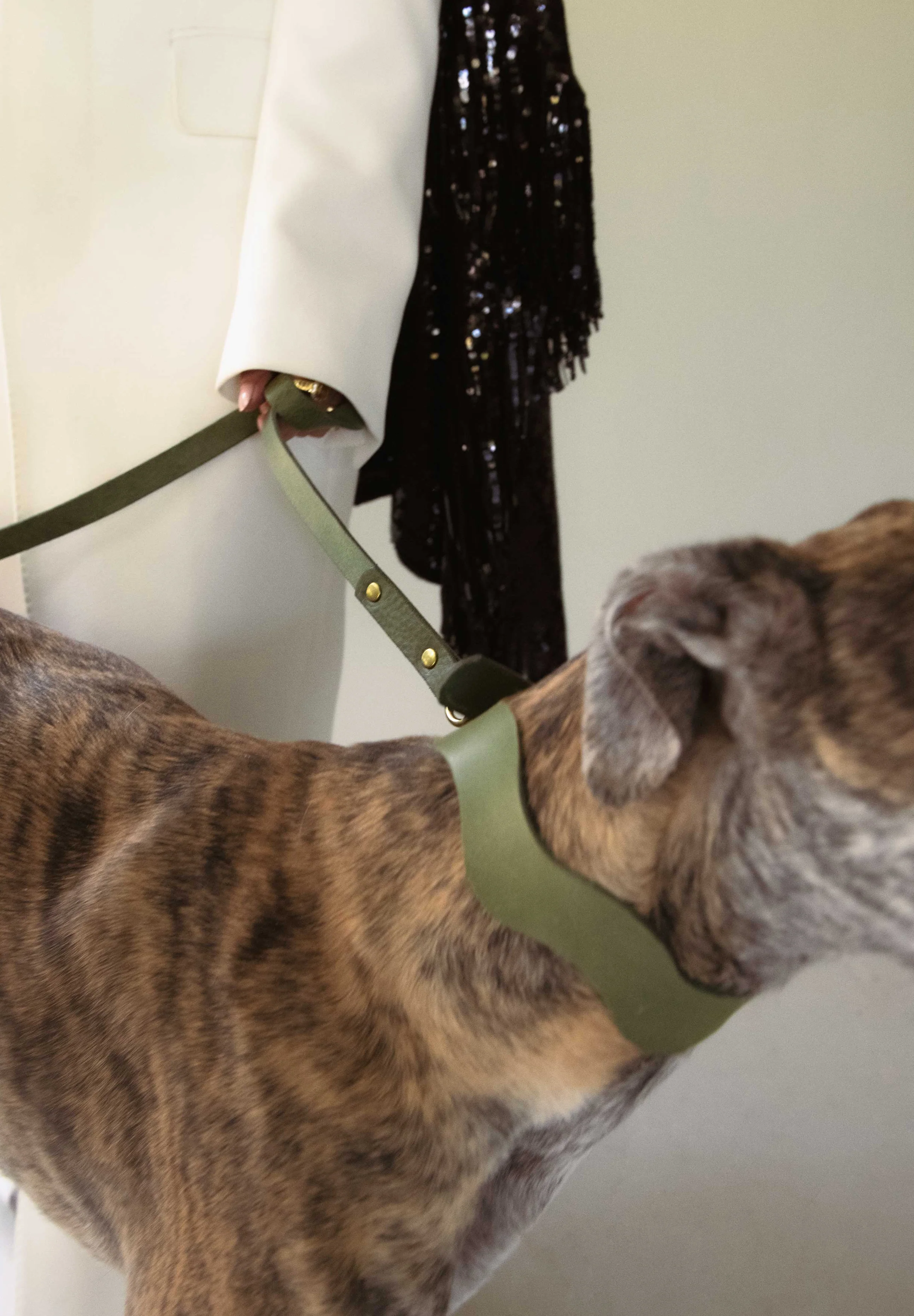 CAN CAN DOGS | COLLAR ONDULADO VERDE MENTA - Image 4