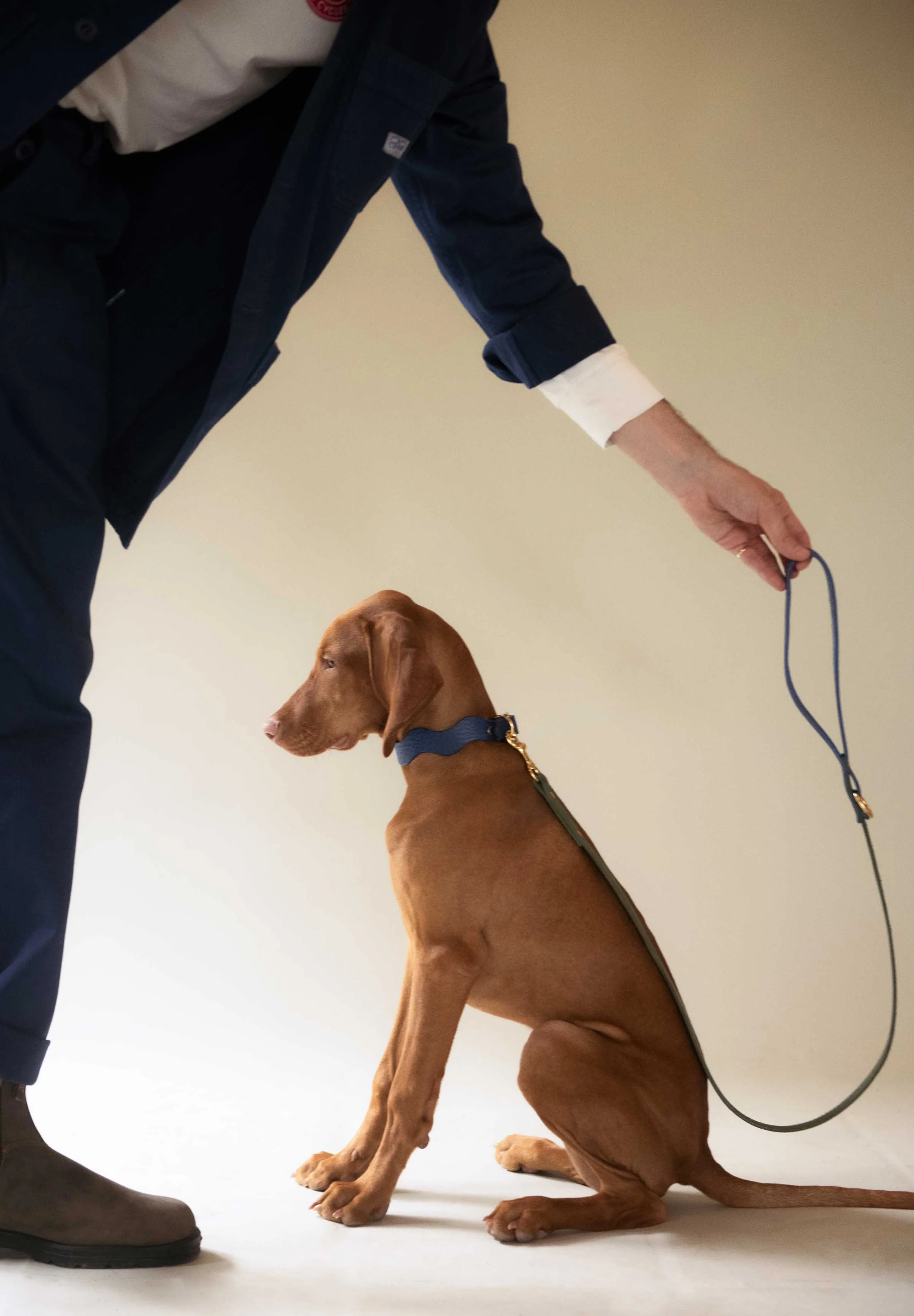 CAN CAN DOGS | COLLAR ONDULADO AZUL COBALTO - Image 4