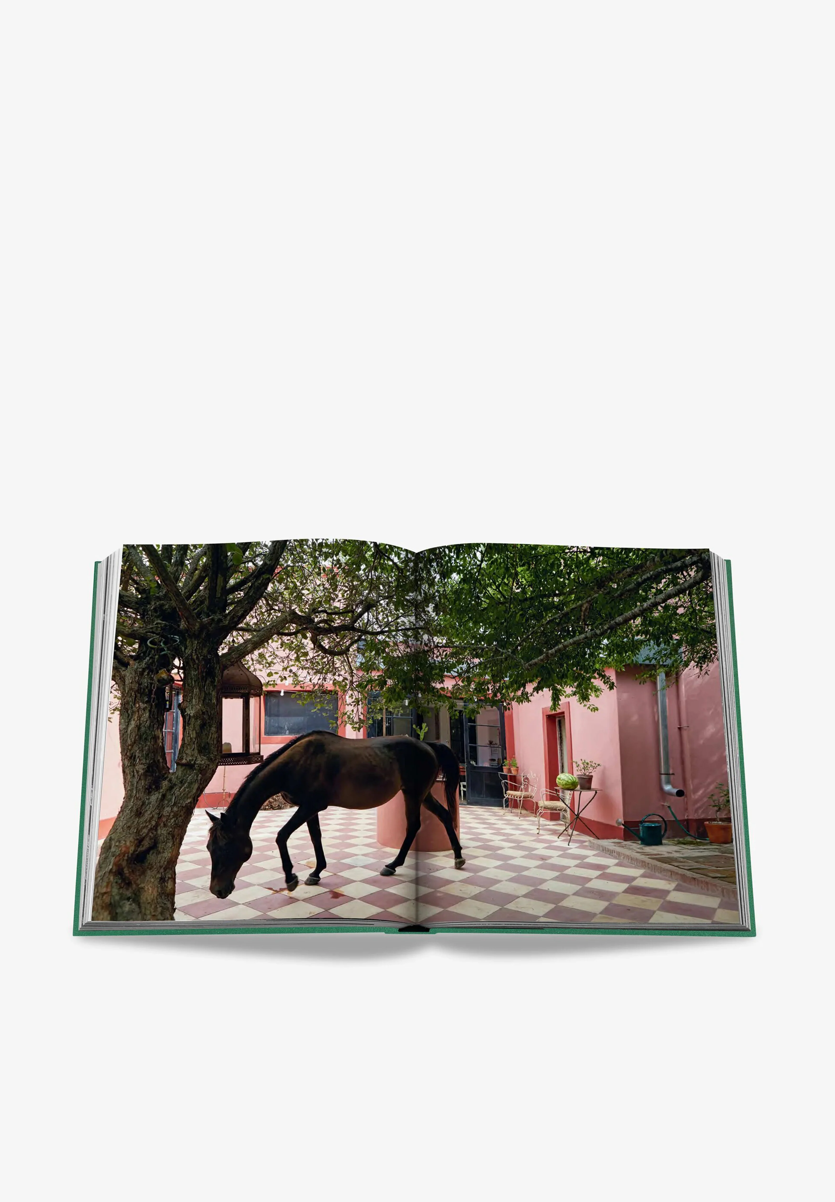 ASSOULINE | LIBRO PUNTA DEL ESTE - Image 3