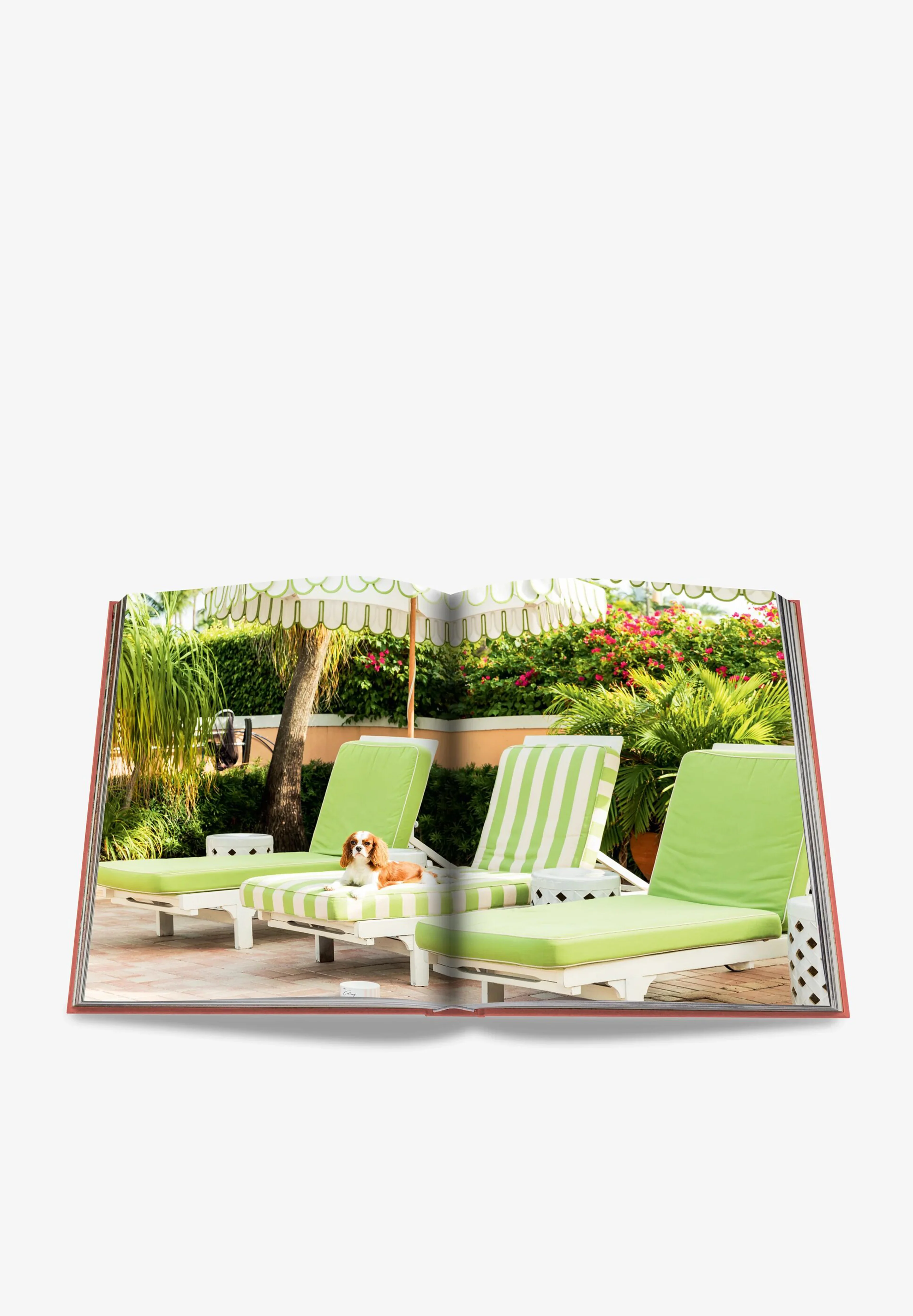 ASSOULINE | LIBRO PALM BEACH - Image 3