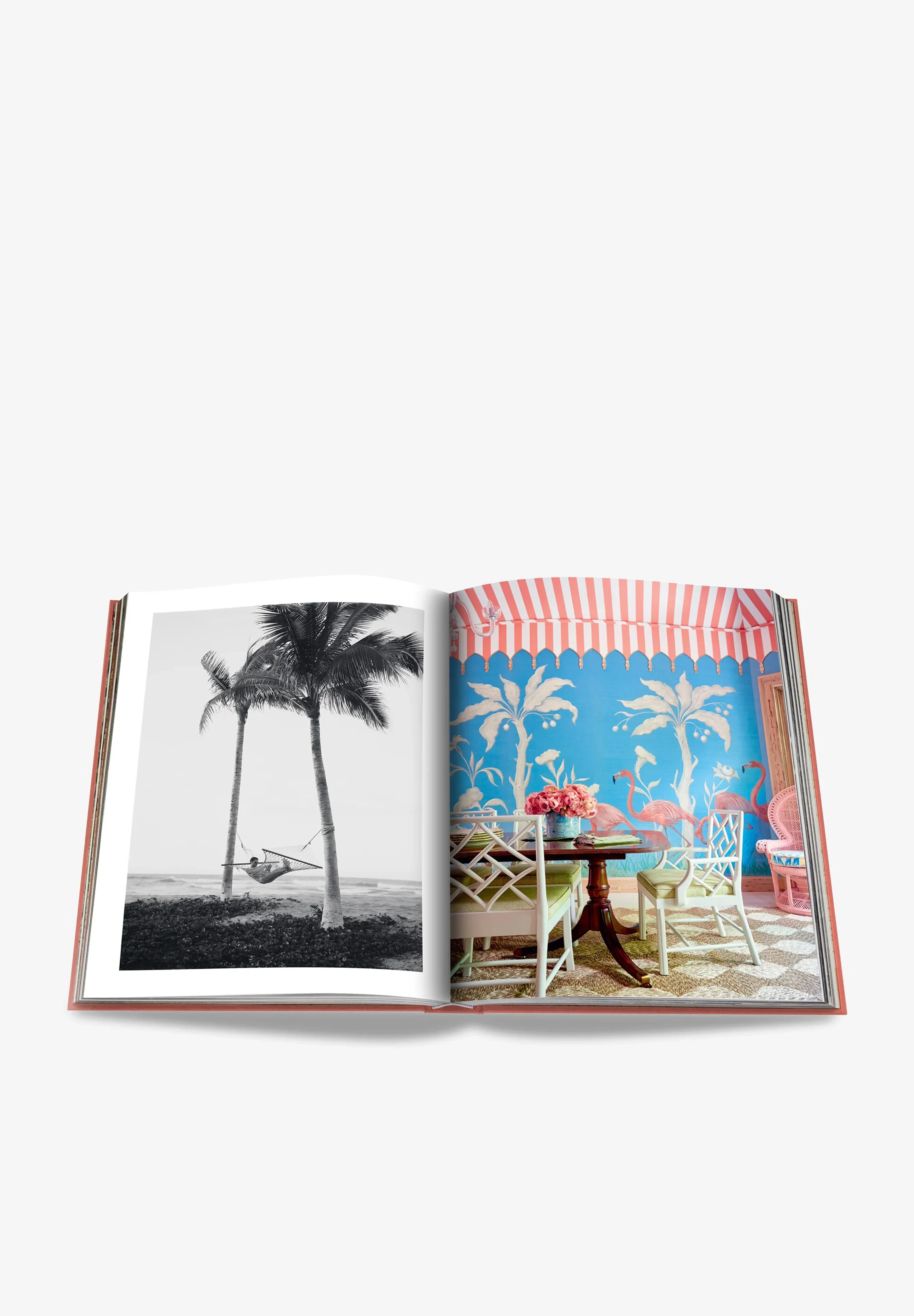 ASSOULINE | LIBRO PALM BEACH - Image 5