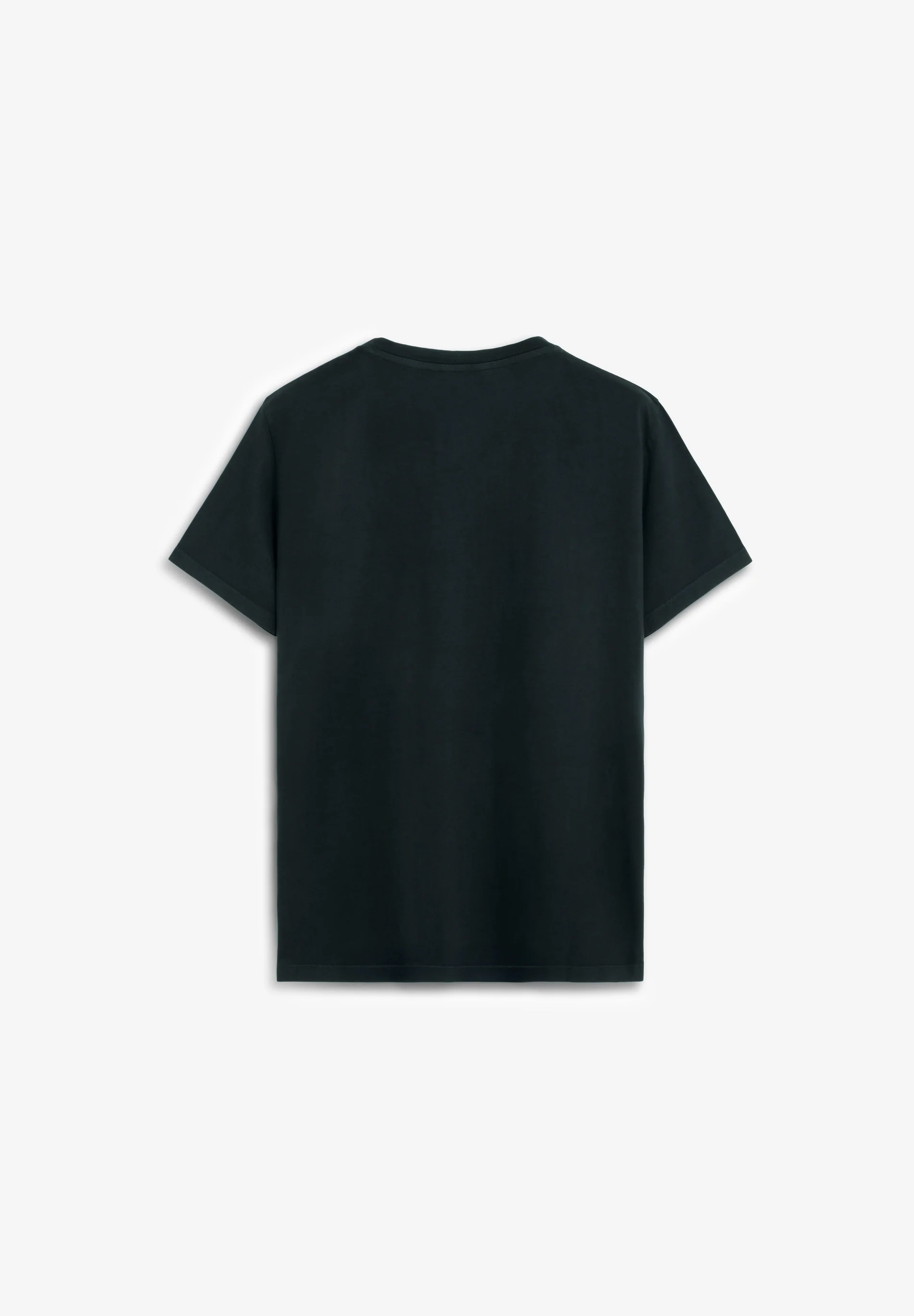 CAMISETA BORDADA EFECTO WASHED - Image 7