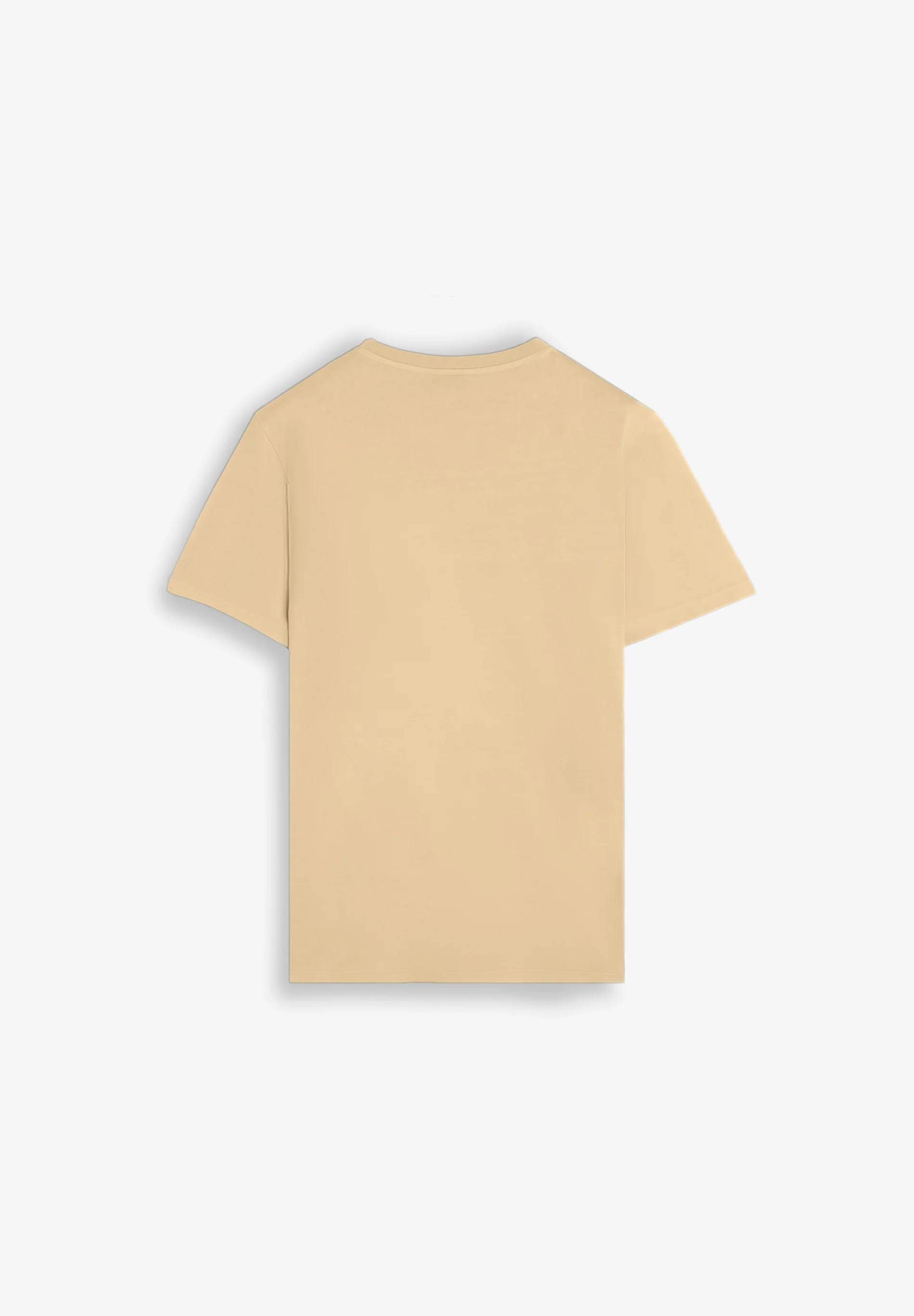 CAMISETA BORDADA EFECTO WASHED - Image 6