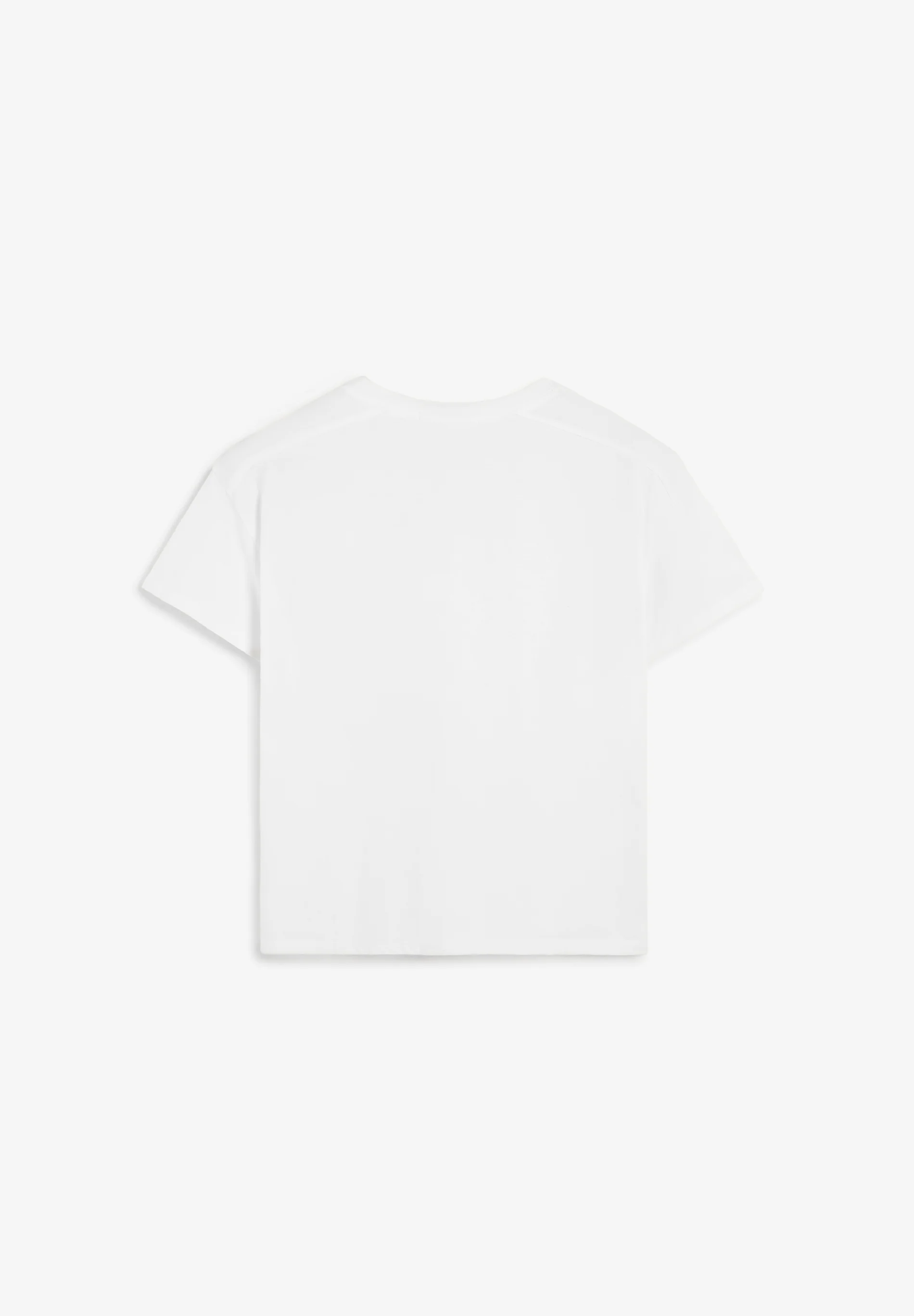 CAMISETA BÁSICA CUELLO PICO - Image 6