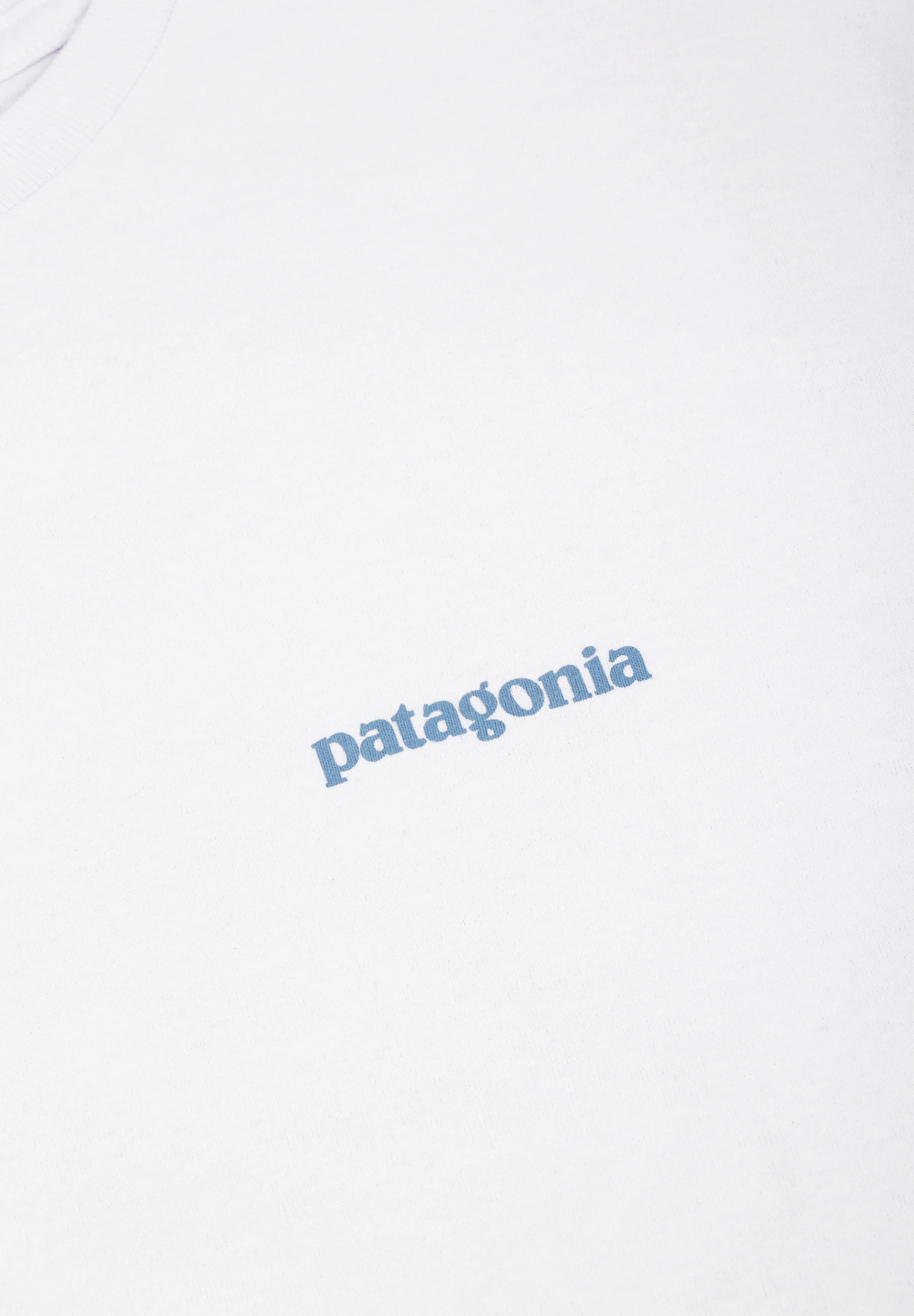 PATAGONIA | CAMISETA FLYING FISH - Image 3