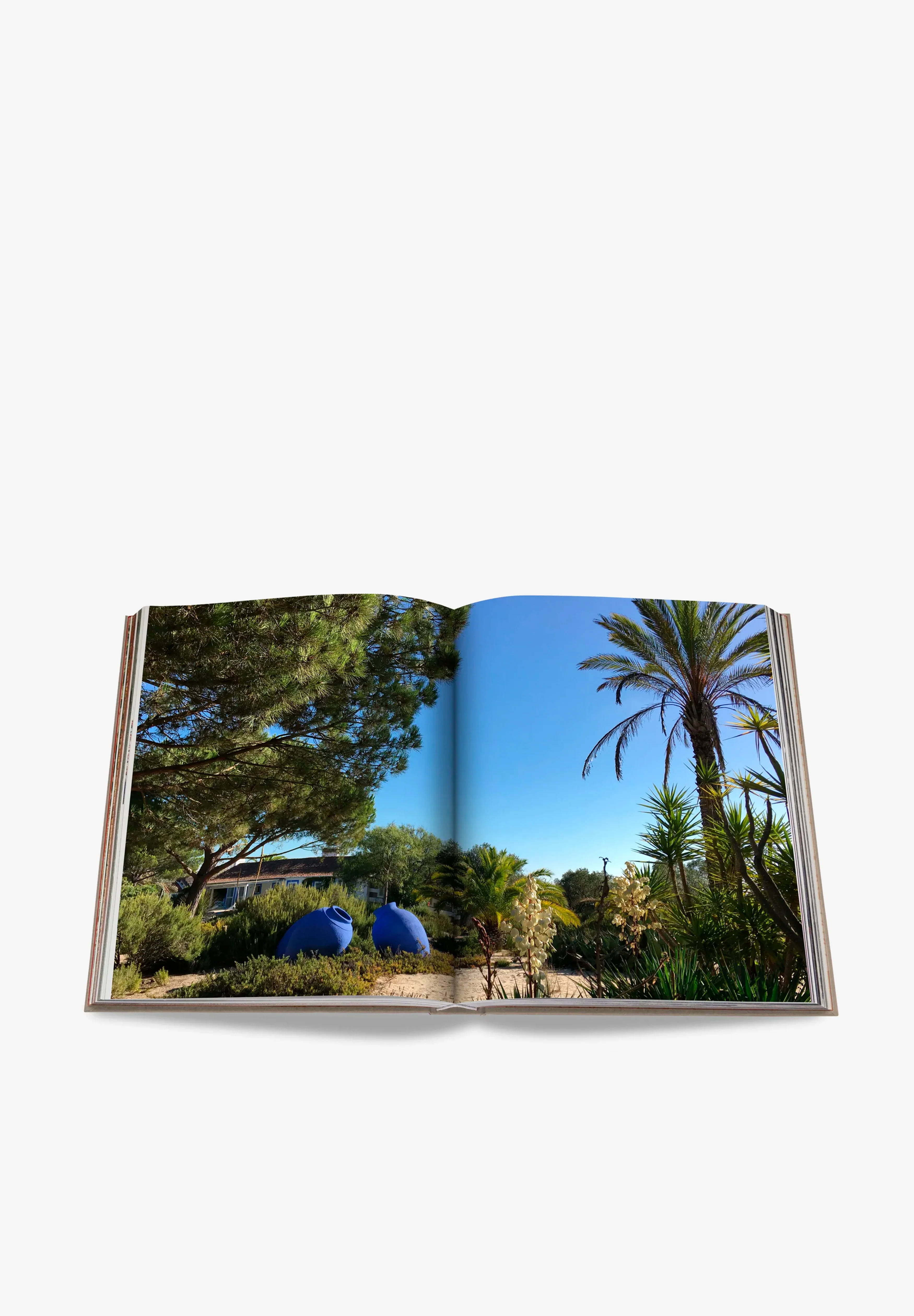 ASSOULINE | LIBRO COMPORTA BLISS - Image 4