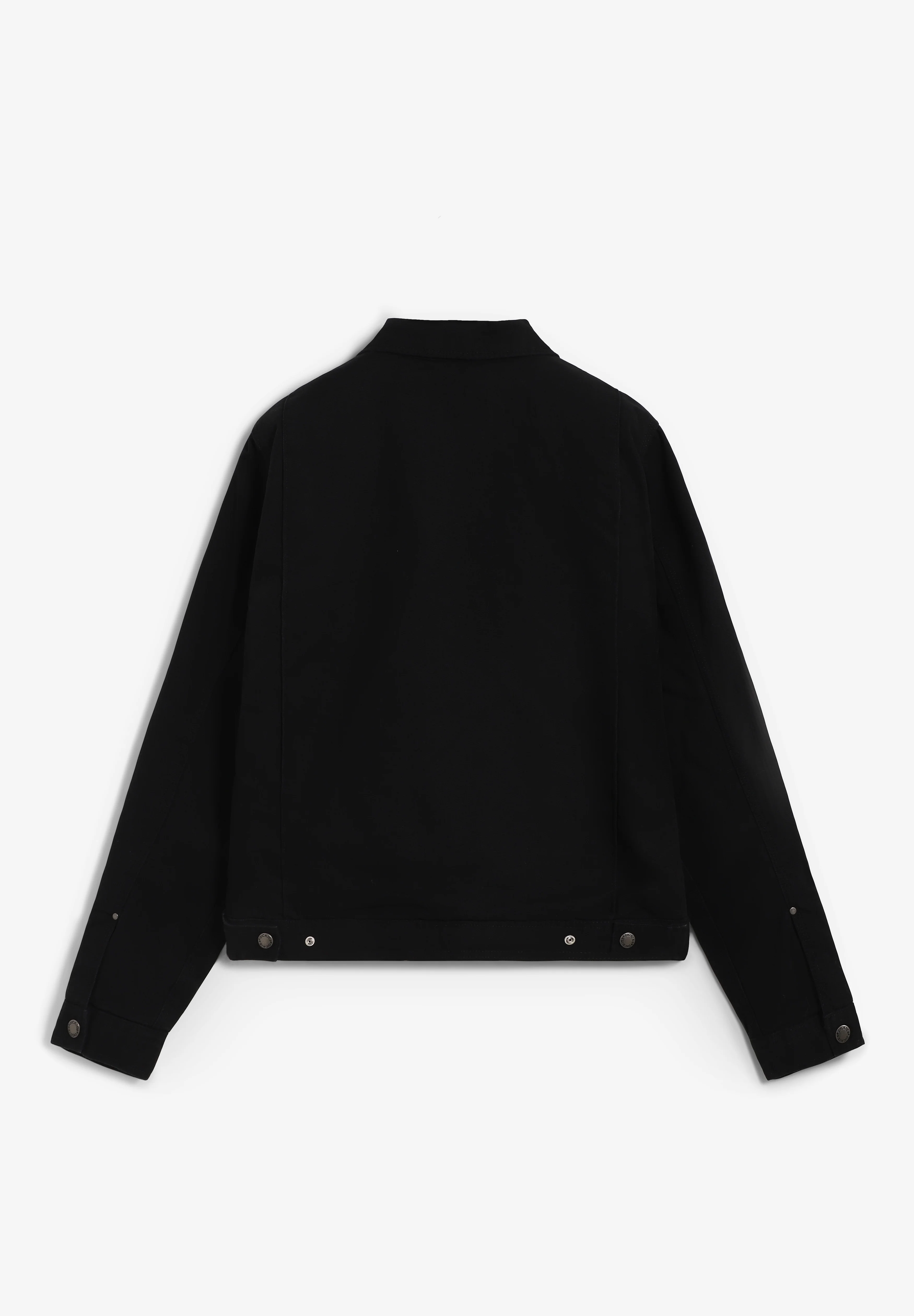 DICKIES | CHAQUETA PAINTER CANVAS - Image 4