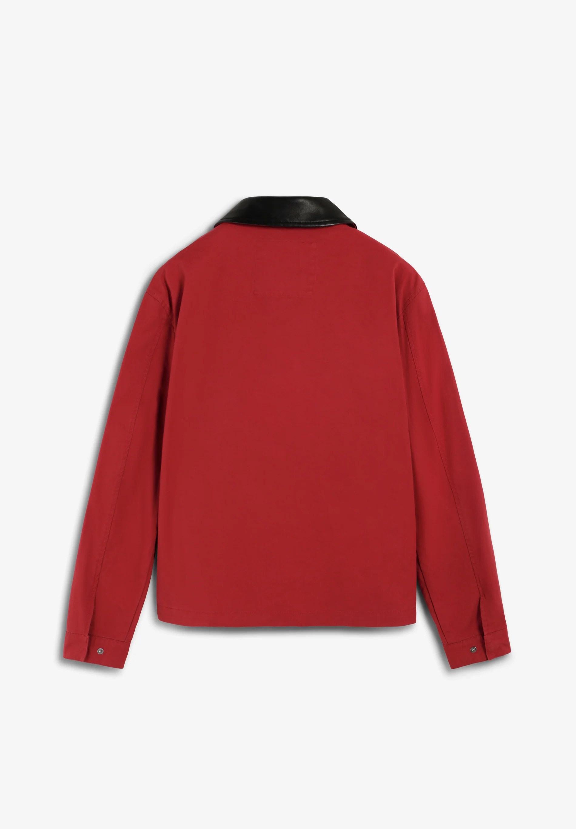 CHAQUETA BOMBER CUELLO CONTRASTE - Image 7