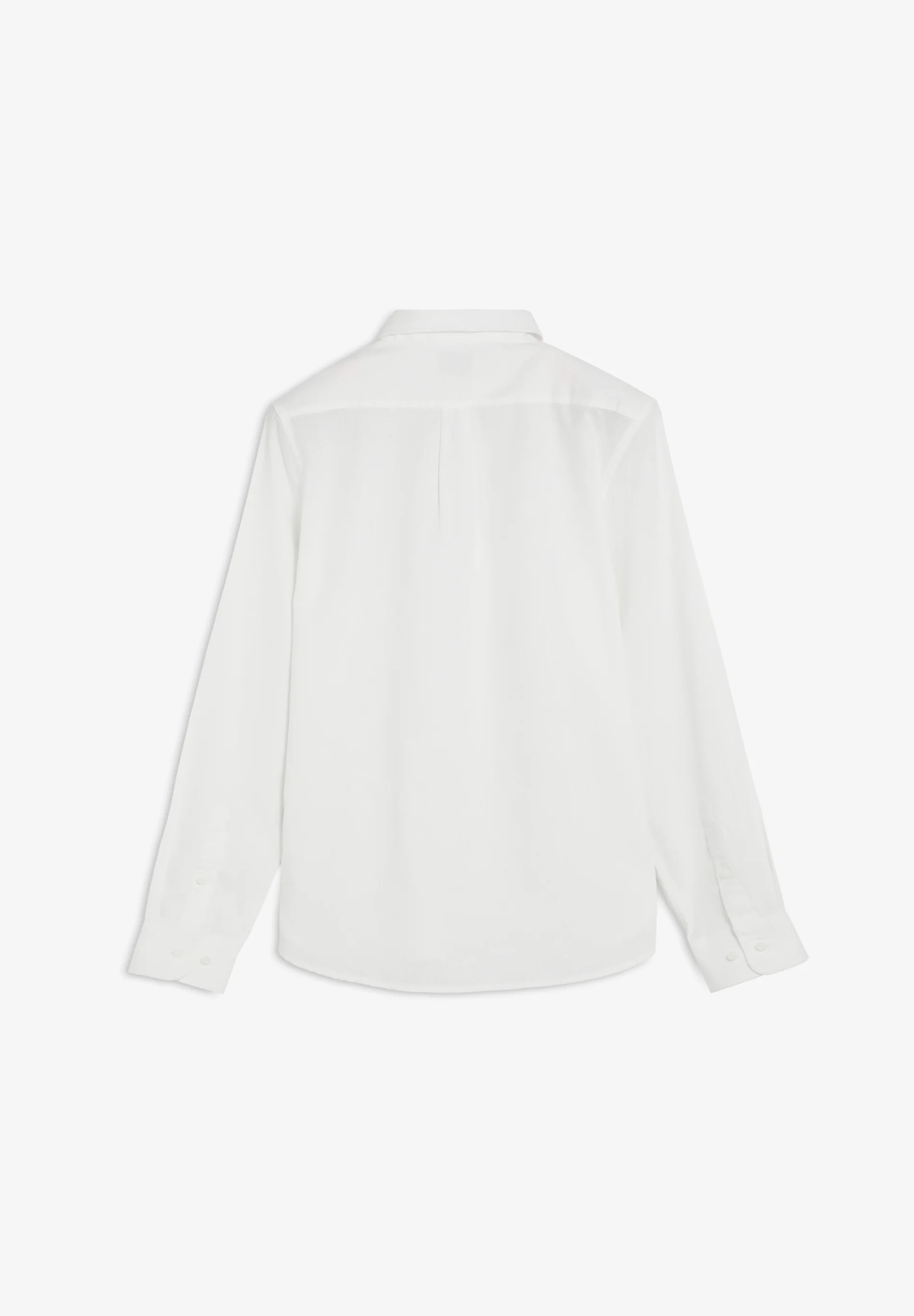 POLERA LINO REGULAR FIT - Image 6
