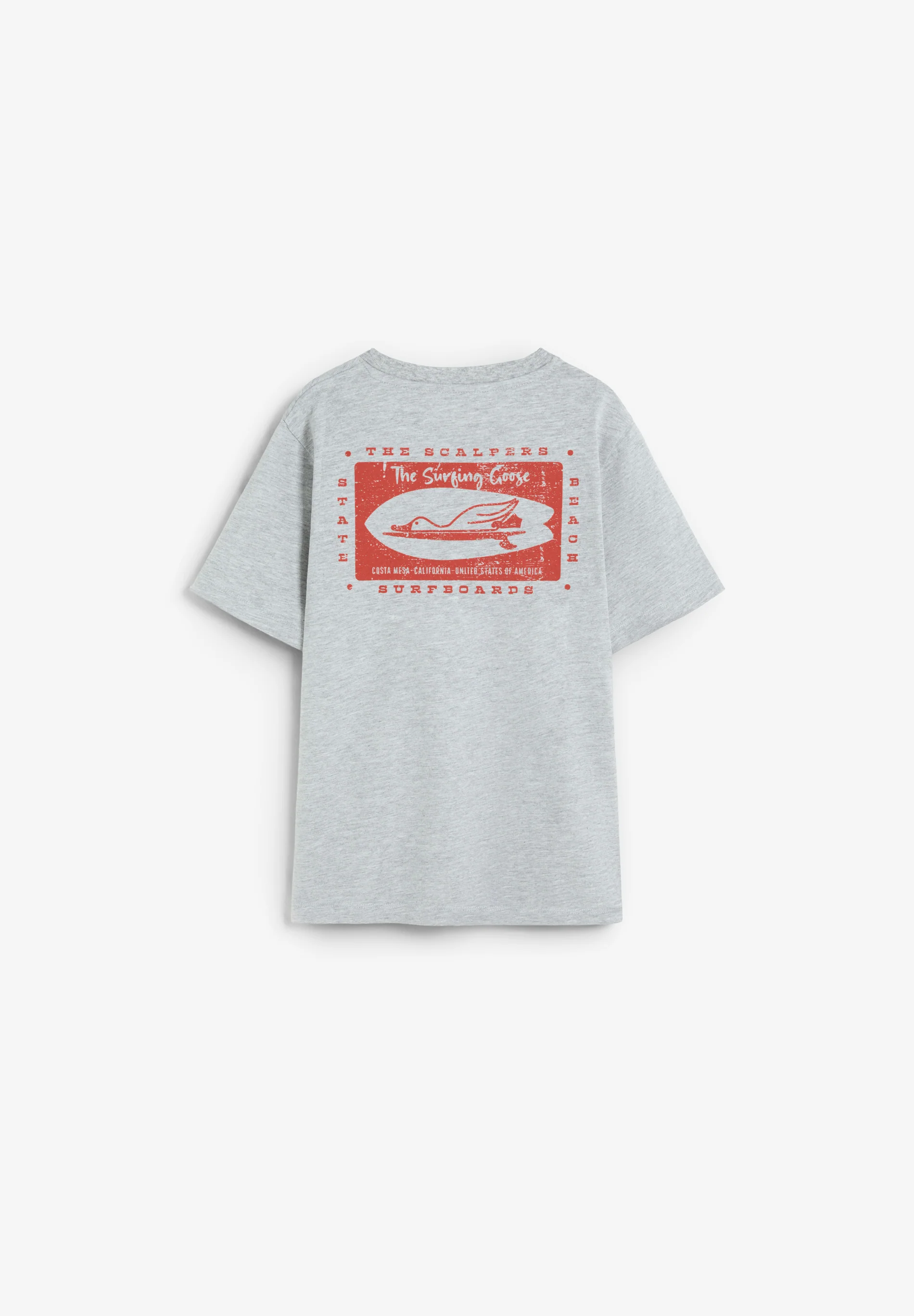 CAMISETA ESTAMPADO THE SURFING GOOSE - Image 5