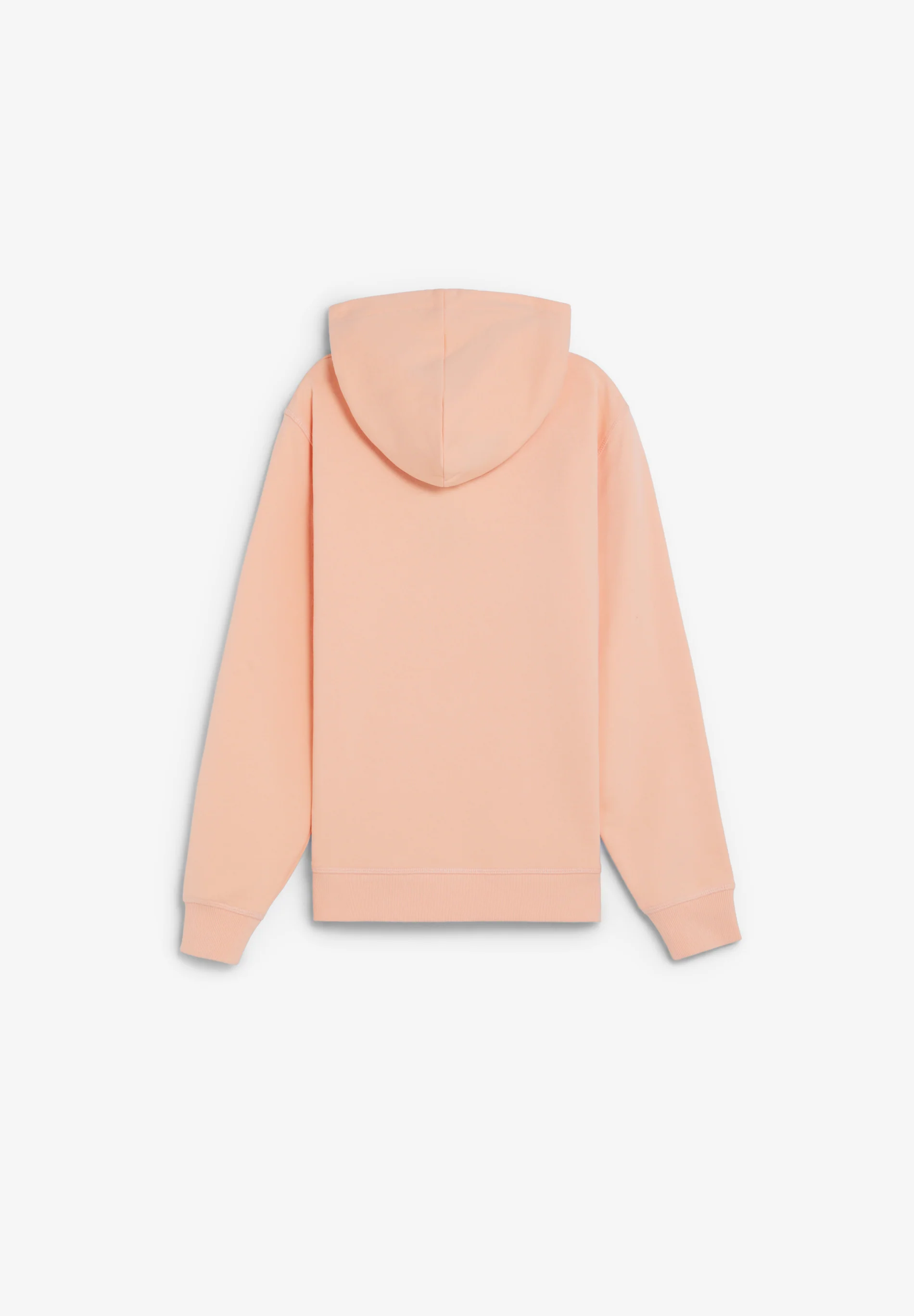 SUDADERA CON CAPUCHA CALAVERA ESTAMPADA - Image 6