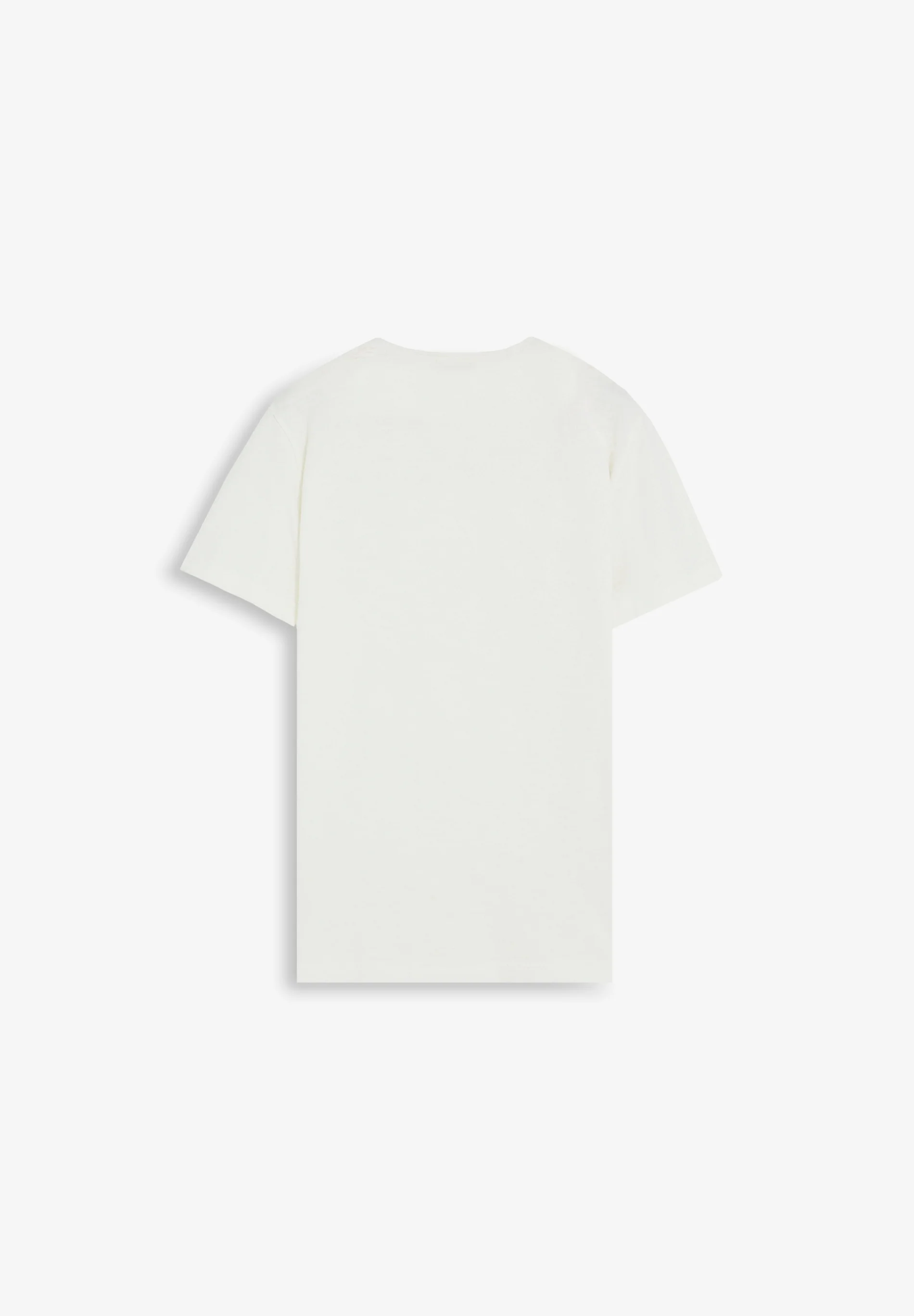 CAMISETA LISA MEDIUM WEIGHT - Image 5