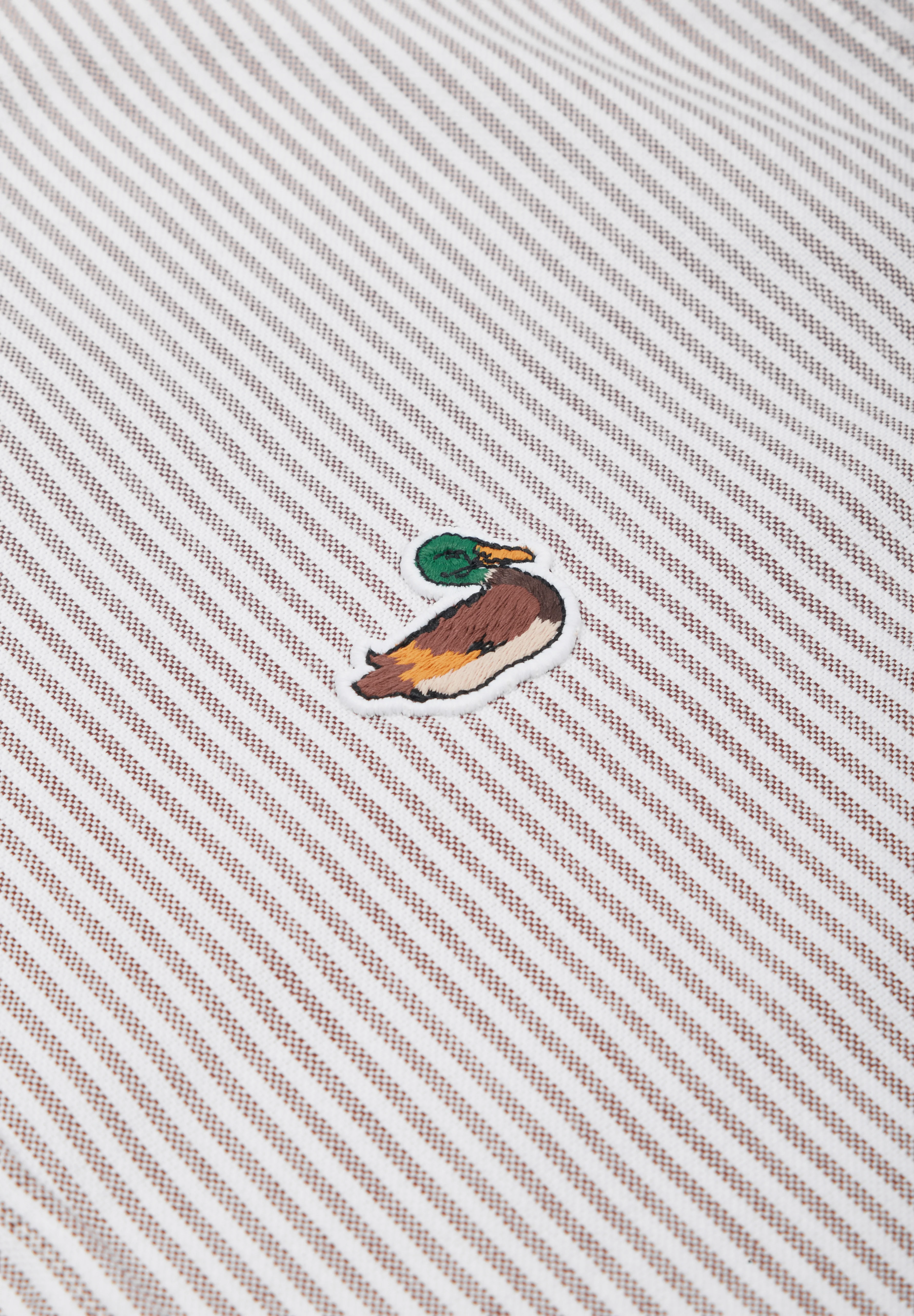 EDMMOND STUDIOS | CAMISA DUCK STRIPED - Image 4