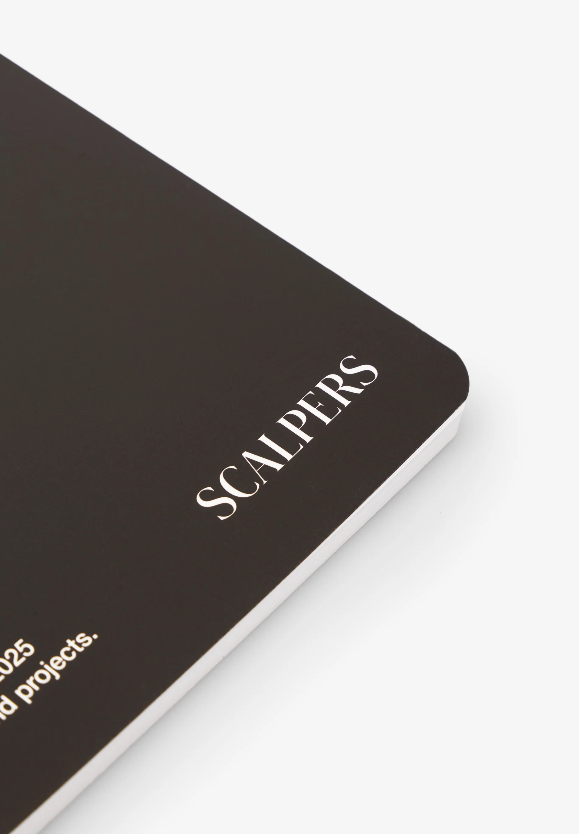 AGENDA SCALPERS 2025 - Image 4