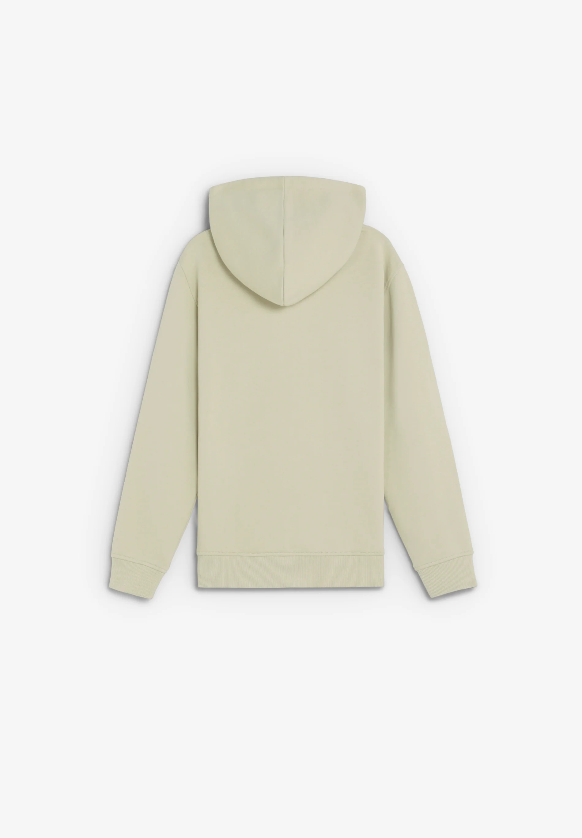 SUDADERA BÁSICA CON CAPUCHA - Image 5